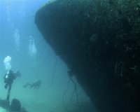Hilma Hooker (Wreck) (43)