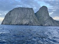 Malpelo